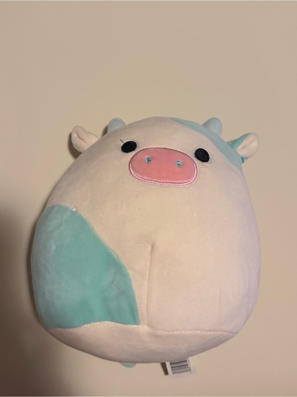 squish mellow cow